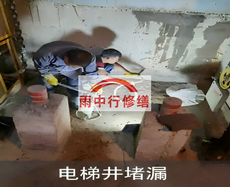甘肃星雨华府电梯井堵漏案例